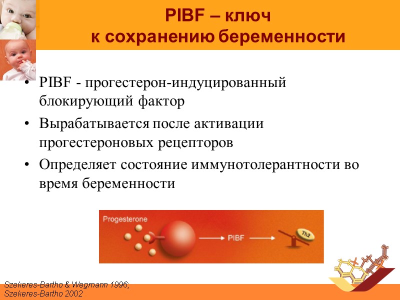 PIBF – ключ  к сохранению беременности PIBF - прогестерон-индуцированный блокирующий фактор Вырабатывается после